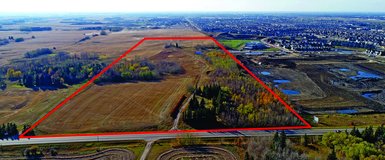 Sell land in Alberta-B178A455.jpg